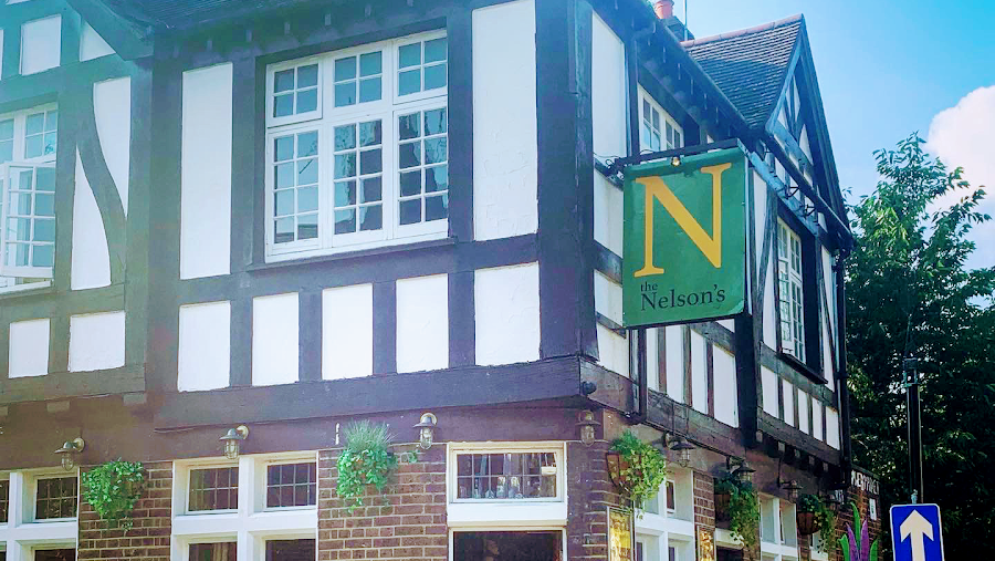 The Nelson’s, photo 3