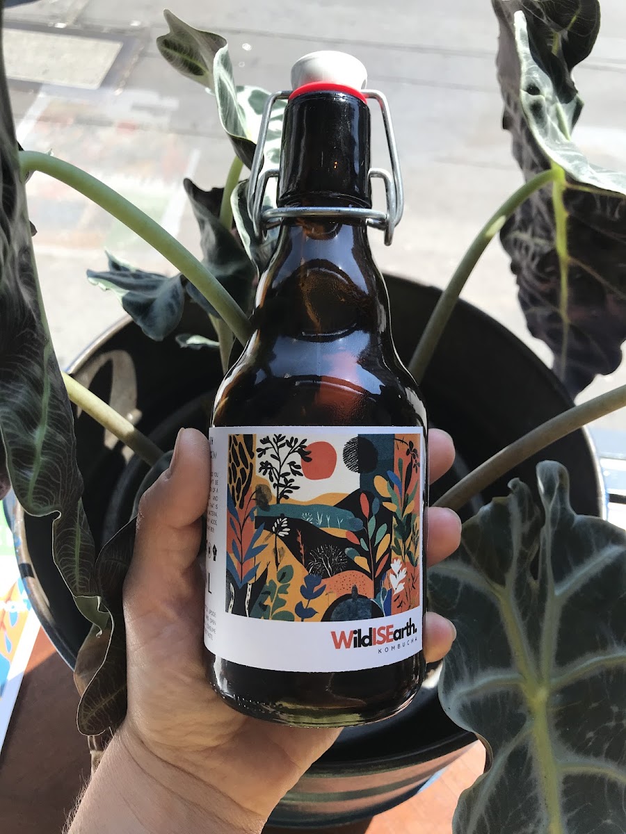 Wild IS Earth | Botanical Fermentation Bar | 100% Organic & Vegan, photo 3