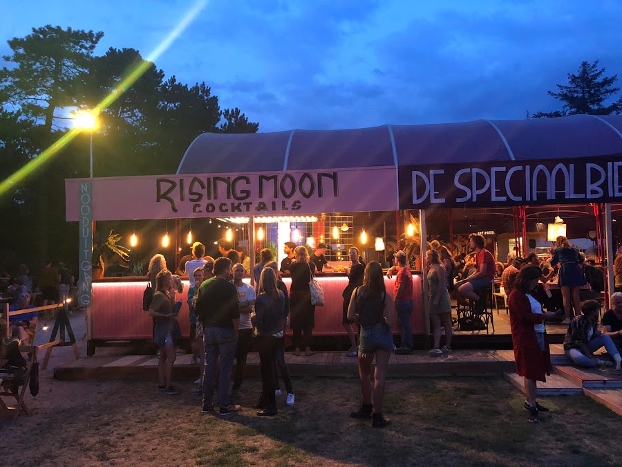 Rising Moon