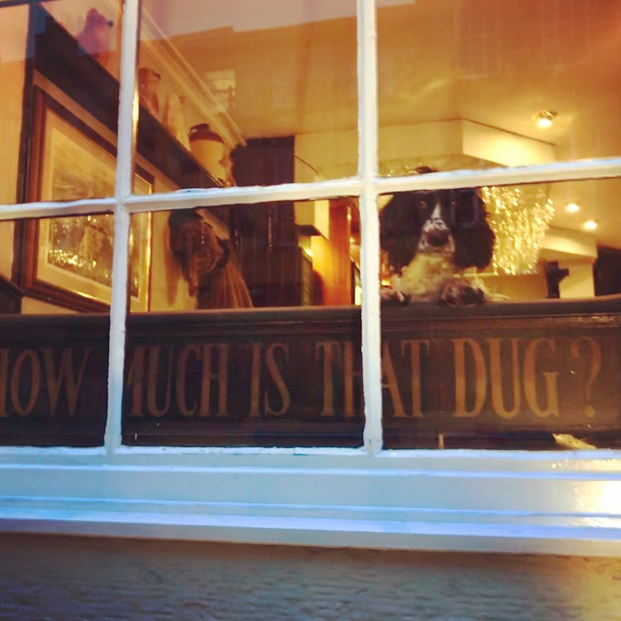The Wally Dug, photo 3